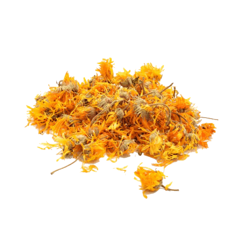 Aynısefa