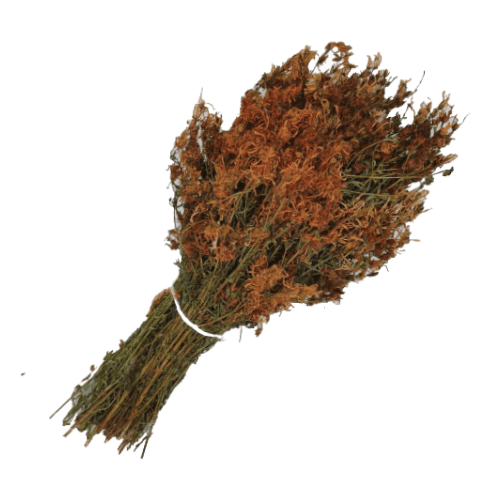 Kantaron