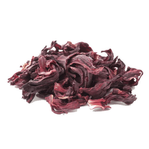 Narçiçeği Hibiscus