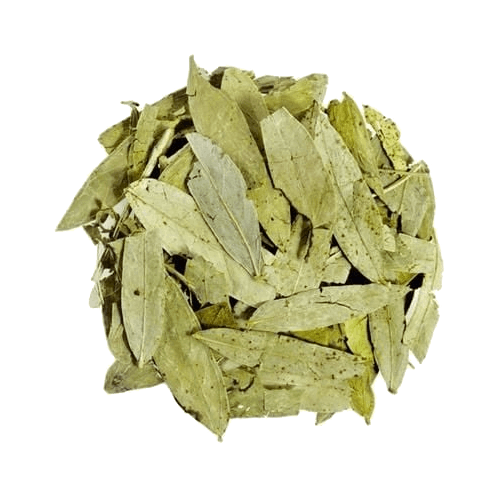 Sinameki